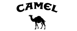 camel.jpg
